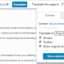 How to automatically translate a website?
